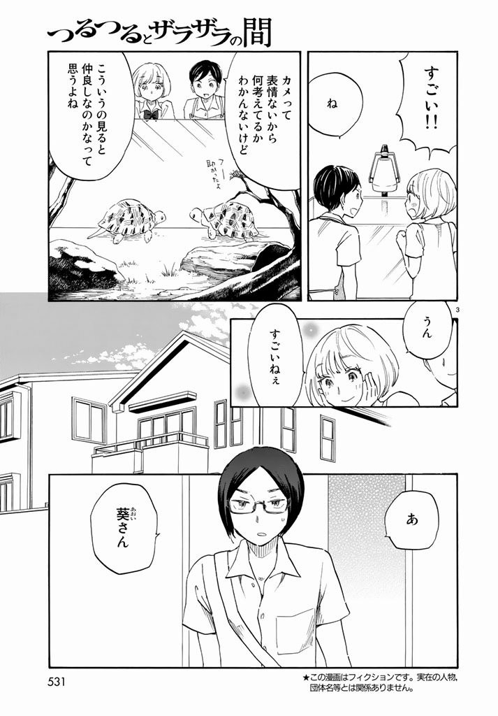 Tsuru-Tsuru to-Zara-Zara-no-Aida - Chapter 45 - Page 3