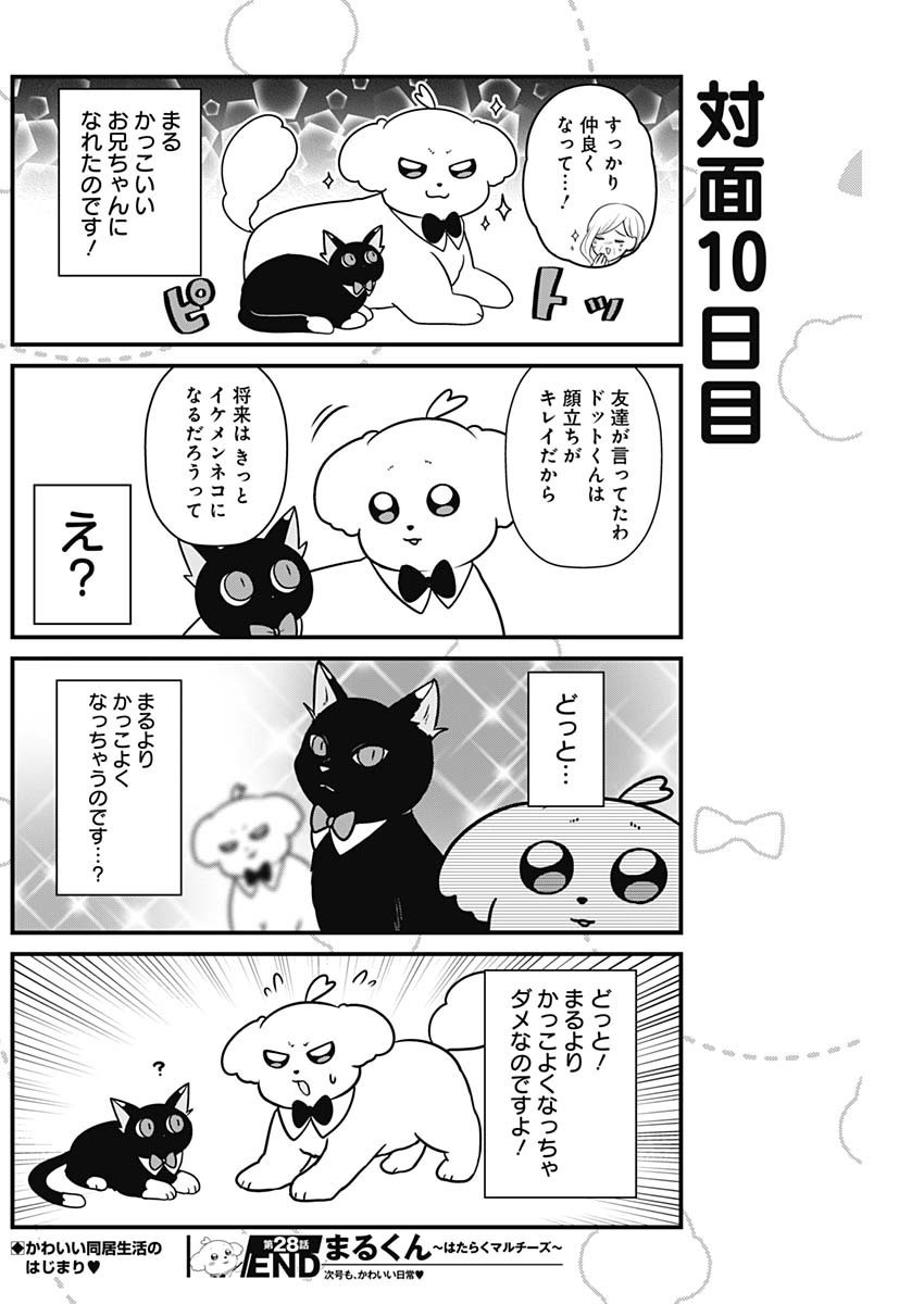 Maru-kun - Hataraku Maltese - Chapter 28 - Page 8